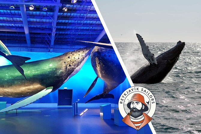 Deluxe Whale Watching and Whales of Iceland Exhibition Combo from Reykjavik - Common snags to plan for: rough seas, narration styles, and expectations