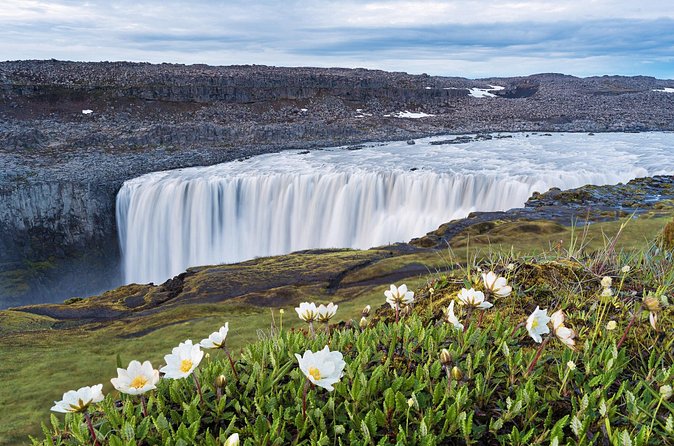 Dettifoss and Goðafoss Waterfall Small Group from Akureyri Port - Reykjahlíð stop: quick recharge by Lake Mývatn