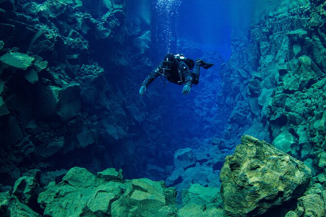 Dive the Divide: Silfra Fissure Scuba Tour | Meet at Thingvellir - Cold water reality: how warmth and vision are handled