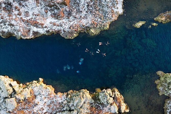 Dive the Divide: Silfra Fissure Scuba Tour | Meet at Thingvellir - The guide experience: why coaching matters at Silfra