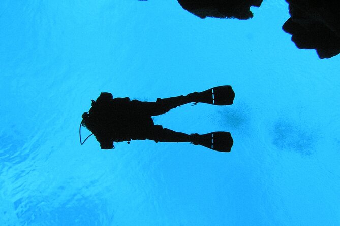 Dive the Divide: Silfra Fissure Scuba Tour | Meet at Thingvellir - The workout factor: carrying heavy equipment and controlled depths