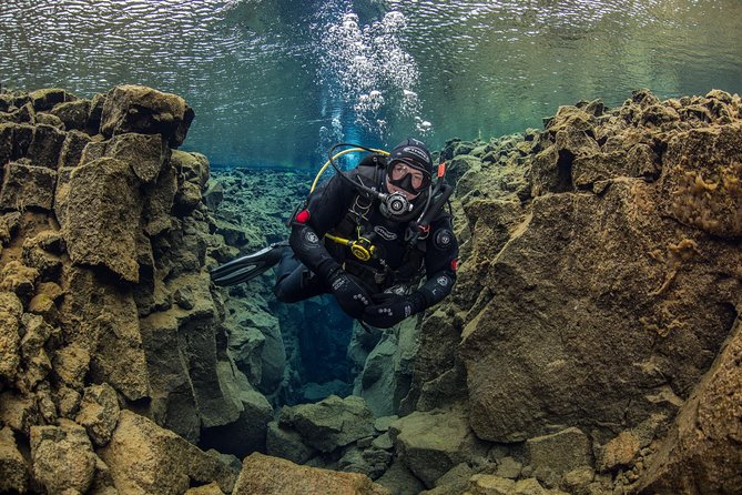 Dive the Divide: Silfra Fissure Scuba Tour | Reykjavik Pickup - Underwater conditions you can actually plan for: clear water, gentle flow, big feelings