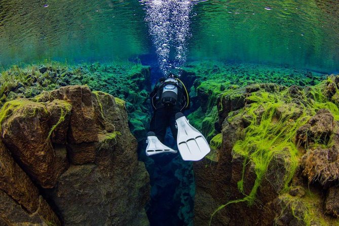 Dive the Divide: Silfra Fissure Scuba Tour | Reykjavik Pickup - Þingvellir National Park: history and tectonics before you go under