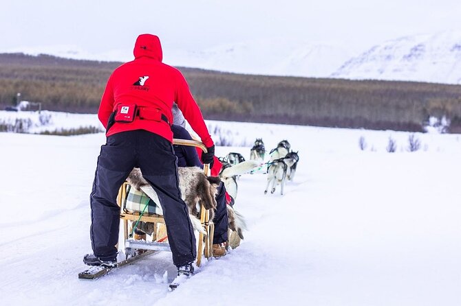 Dog Sledding Tour near Akureyri - The Price, the Value, and What You Are Actually Paying For