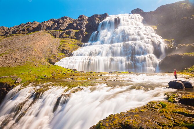 Dynjandi Waterfall & Iceland Farm Visit Tour - Stop 2: Gemlufell Farm near Þingeyri and what you’ll do there