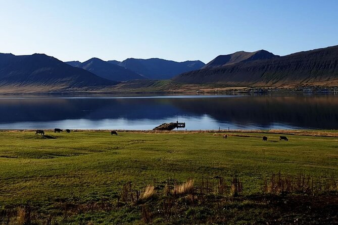 Dynjandi Waterfall & Iceland Farm Visit Tour - Who should book this tour, and who should skip it