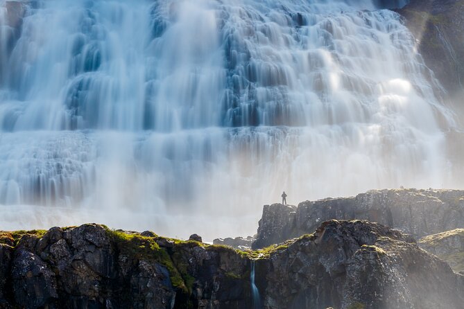 Dynjandi Waterfall & Iceland Farm Visit Tour - From the port: transfers that keep the day easy