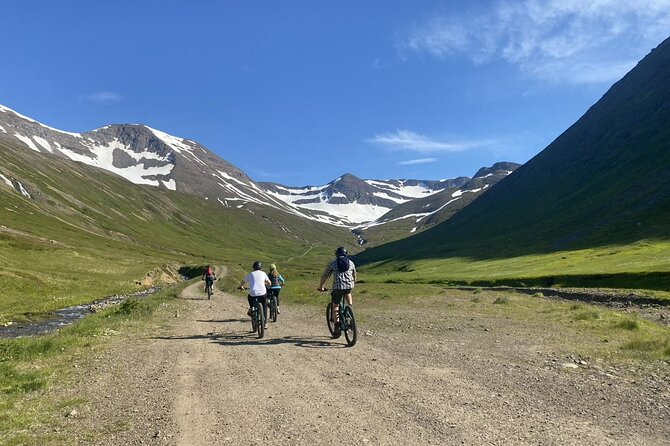 Electric Mountain biking tour in North Iceland - Small-group pacing, and why “max 5” changes everything