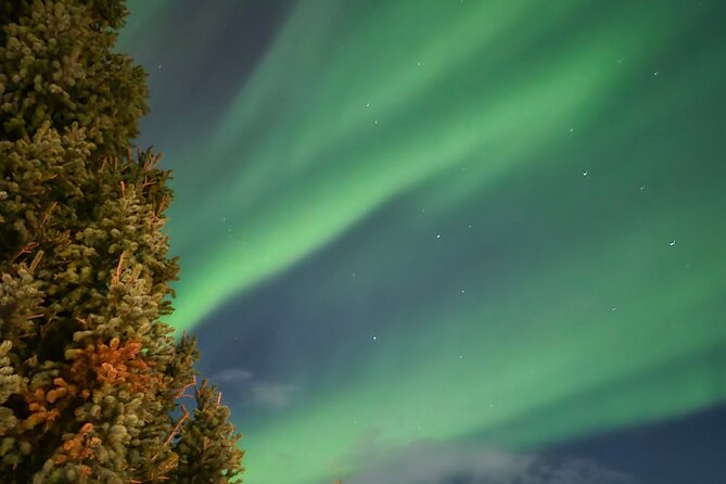 Exclusive 3-Hour NORTHERN LIGHTS Experience – Private Tour - What You Get Onboard: WiFi, Snacks, Coffee, and Photo Help