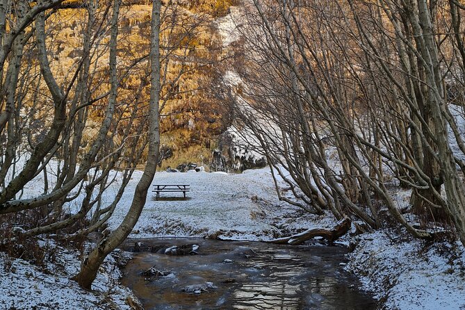Explore the Waterfalls of the South Coast - Seljalandsfoss: The Walk-Behind Waterfall Experience, Plus Winter Reality