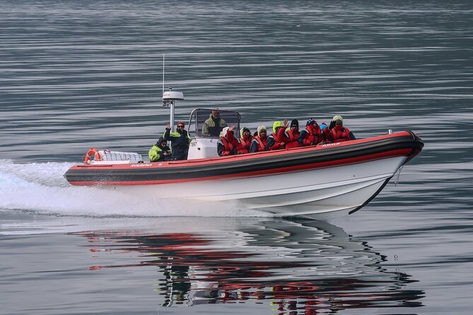 Express Whale Watching in Dalvik - Dalvík makes the most of your time in North Iceland