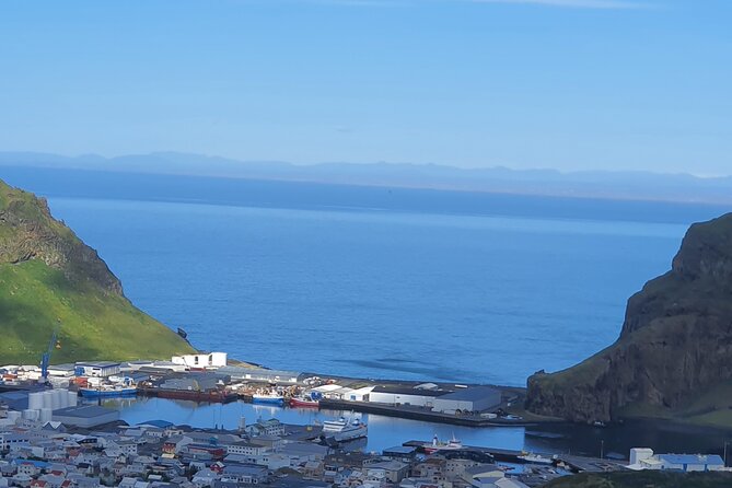 Eyjascooter Puffin Tour in Iceland - Timing tips for your Heimaey day