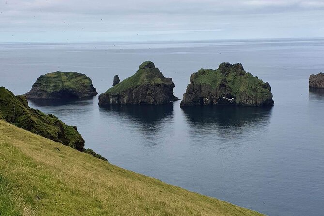 Eyjascooter volcano tour in Westman Island - Price and value, $108.26 for a guided wildlife ride
