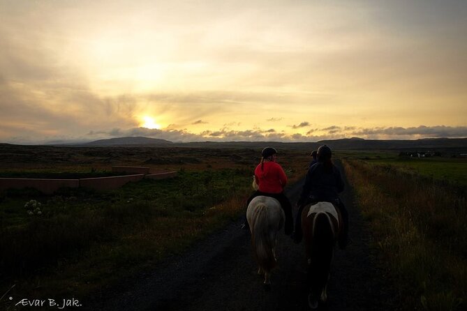 Family Horse Riding Tour in Thorlakshofn - From Þorlákshöfn Toward Krýsuvík’s Steam and Sea Views