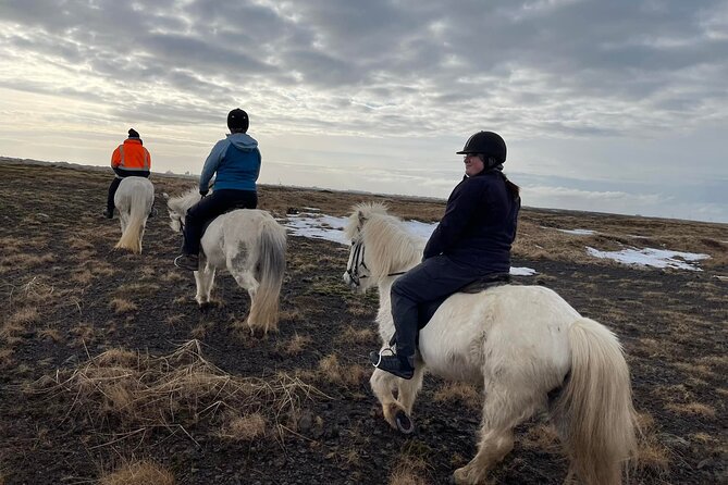 Family Horse Riding Tour in Thorlakshofn - Price and Value: $180 and the Stuff You Do Not Have to Buy