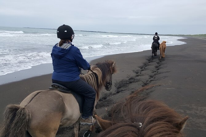 Family Horse Riding Tour in Thorlakshofn - What You’ll See Along the Ride, Even When Weather Changes the Plan