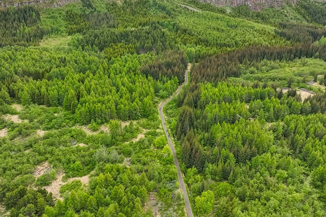 Forest Lagoon Ebike Tour Akureyri - The e-bike setup: safety rules, how the motor helps, and what to expect