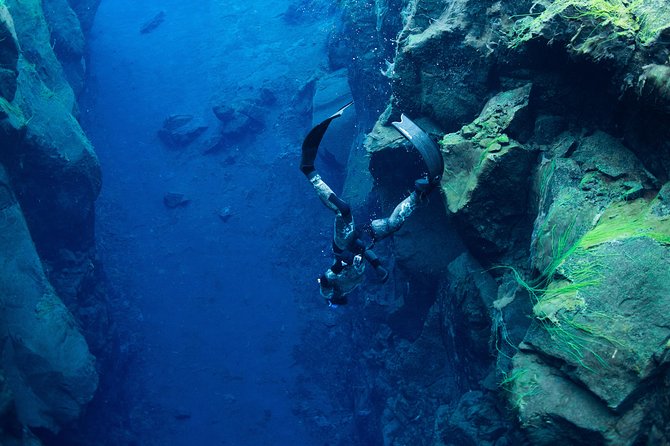 Freedive Silfra Half Day Tour - Key things to know before you go