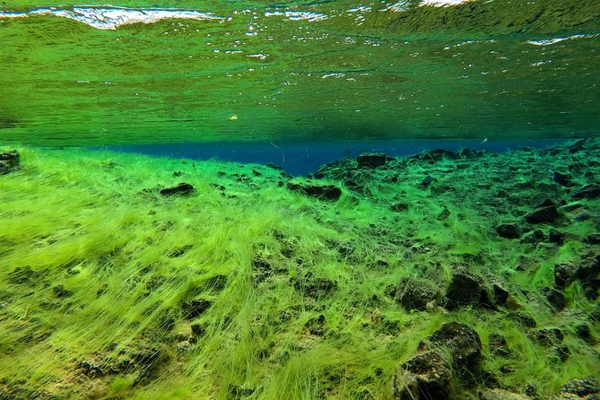 Freedive Silfra Half Day Tour - Where you meet, where you park, and how the half-day flows