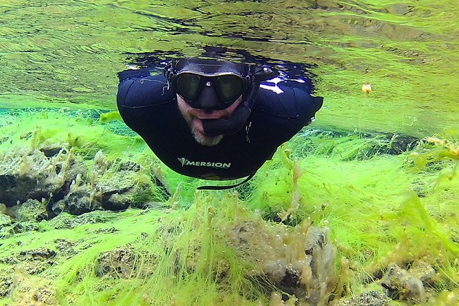 Freedive Silfra Half Day Tour - In the water between plates: comfort, gear help, and what you will notice