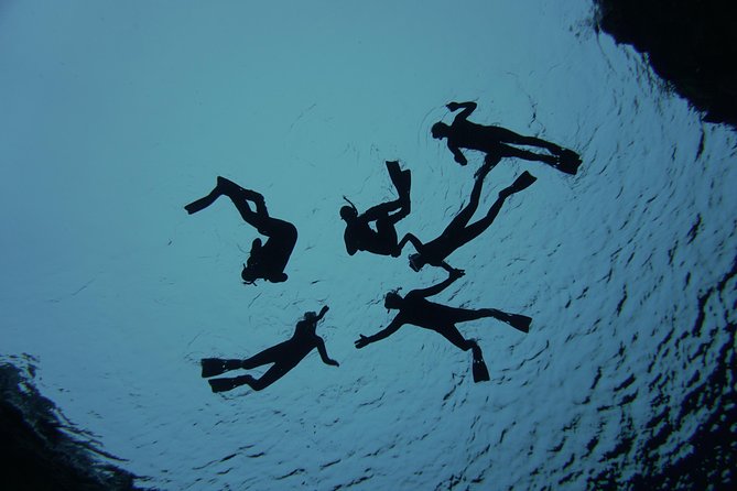 Freedive Silfra Half Day Tour - Warm cocoa and the part that makes it worth it