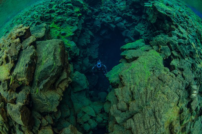 Freedive Silfra Half Day Tour - Value check: who this tour suits, and who it might not
