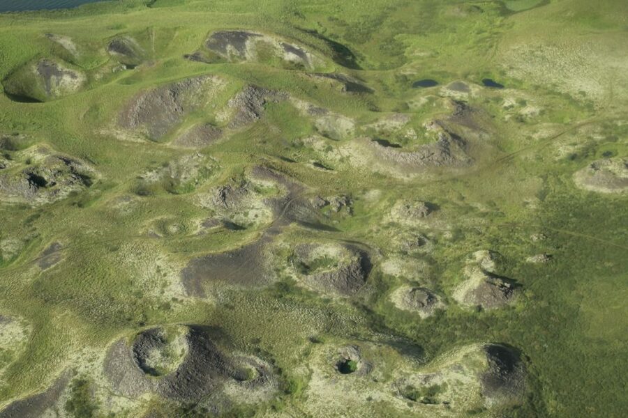 From Akureyri: Myvatn Lake, Craters, & Waterfall Tour - Lake Mývatn feel: how to spot the big picture fast