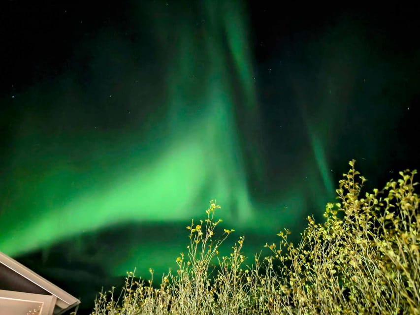 From Akureyri: Northern Lights Tour - Should You Book This Akureyri Northern Lights Tour?