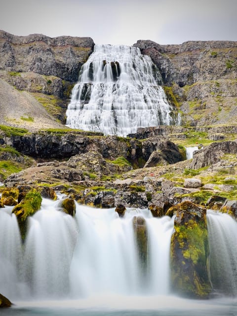 From Isafjordur: The Westjords Great Getaway - Skrúður Botanical Garden: a quieter pause that feels very Iceland