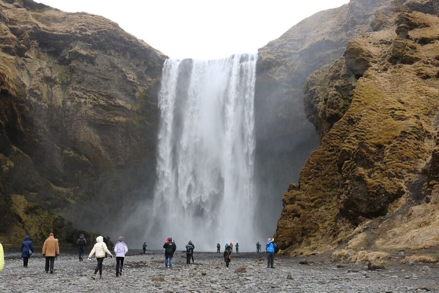 From Reykjavik: 6-Day Small Group Tour of Iceland - East Fjords wildlife day: wild reindeer, village life, and Lake Lagarfljót