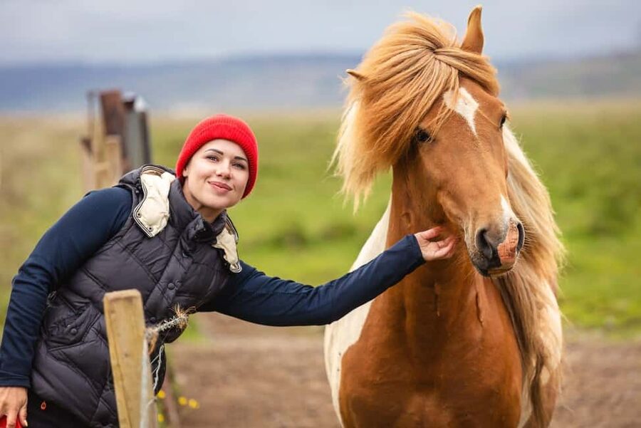 From Reykjavík: Best of Iceland 6-Day Stopover Tour - Northern Lights hunt: expert guidance, but you can’t control the clouds
