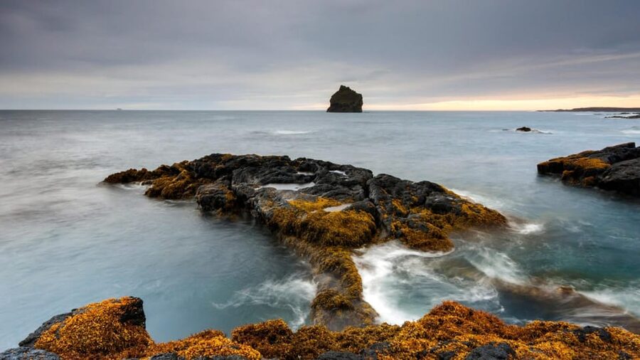 From Reykjavik: Blue Lagoon and Reykjanes Peninsula Tour - Price and value: what you’re paying for (and what you still need)