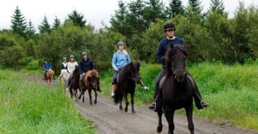 From Reykjavik: Full-Day Horse Riding & Golden Circle Tour - From Reykjavik pickup to Laxnes Horse Farm, how the day starts