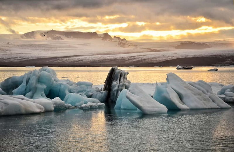 From Reykjavik: Glacier Lagoon and Fjaðrárgjúfur Canyon Tour - Fjaðrárgljúfur Canyon Walk in Summer, Plus Foss á Síðu