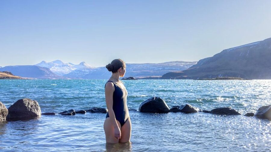 From Reykjavík: Golden Circle Route & Hvammsvik Hot Spring - Golden Circle Icons, Plus a Whale Fjord Soak
