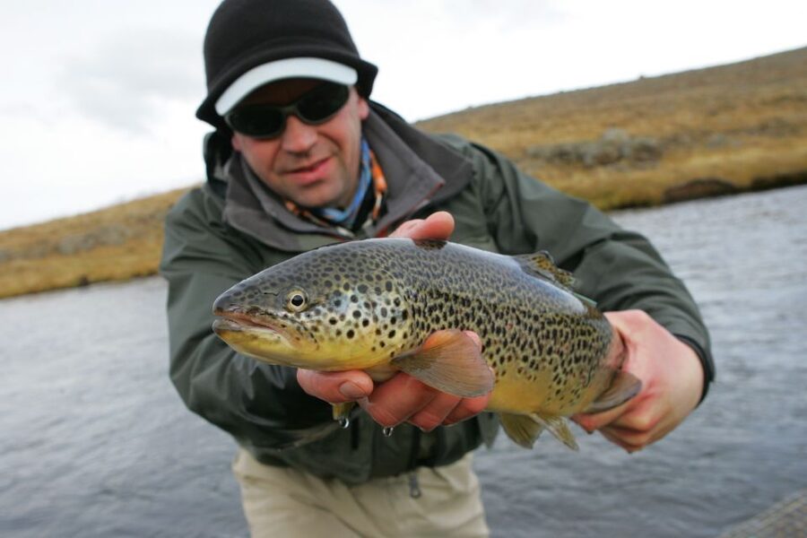 From Reykjavik: Lake and River Fishing Tour - River and lake fishing for brown trout and Arctic char