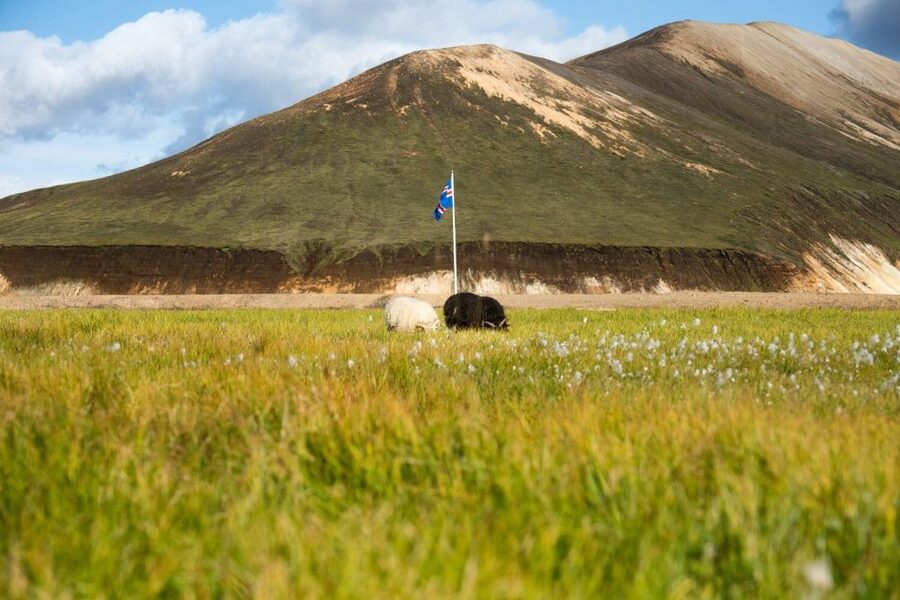 From Reykjavík: Landmannalaugar Day Hike - Who Should Book This Day Hike From Reykjavik