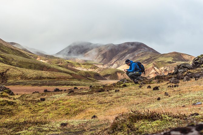 From Reykjavík: Landmannalaugar Hiking Day Tour - Key Highlights You Should Actually Care About