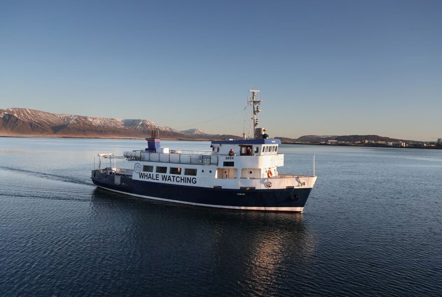 From Reykjavik: New Years Fireworks by Boat - Timing in Reykjavik: the 10:30 PM departure and the flow to midnight