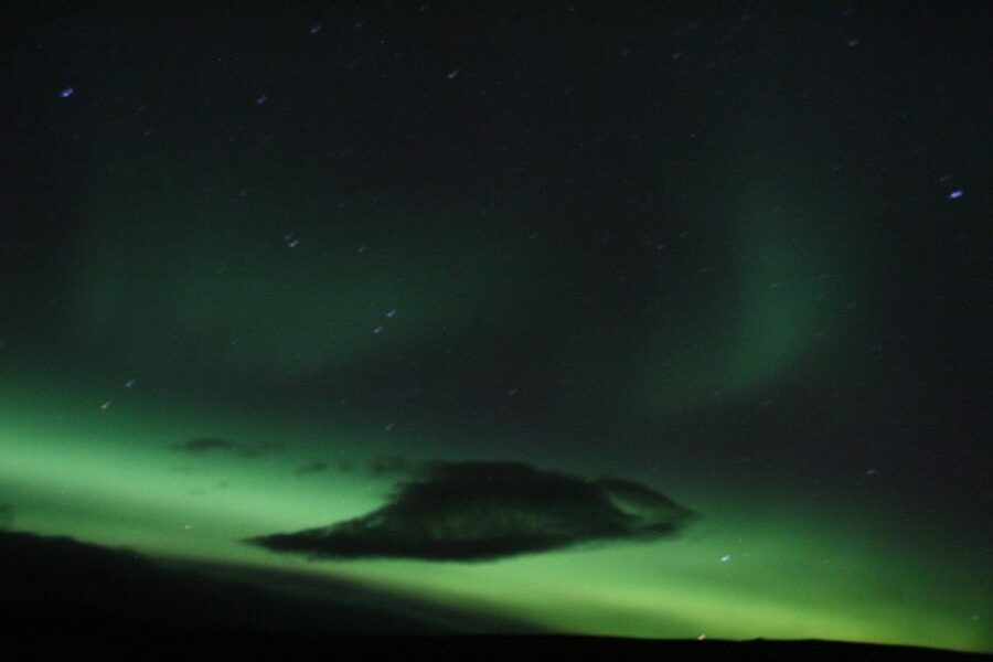 From Reykjavik: Northern Lights Boat Cruise - Price and value: is $101 a fair deal?