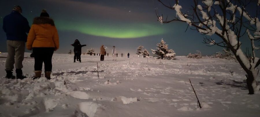 From Reykjavik: Northern Lights Chase with Expert Guide - Key Things I’d Watch For