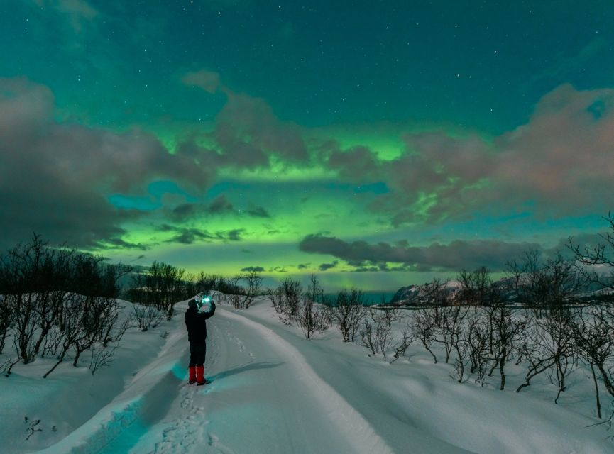 From Reykjavik: Northern Lights Chase with Expert Guide - Should You Book This Northern Lights Chase?