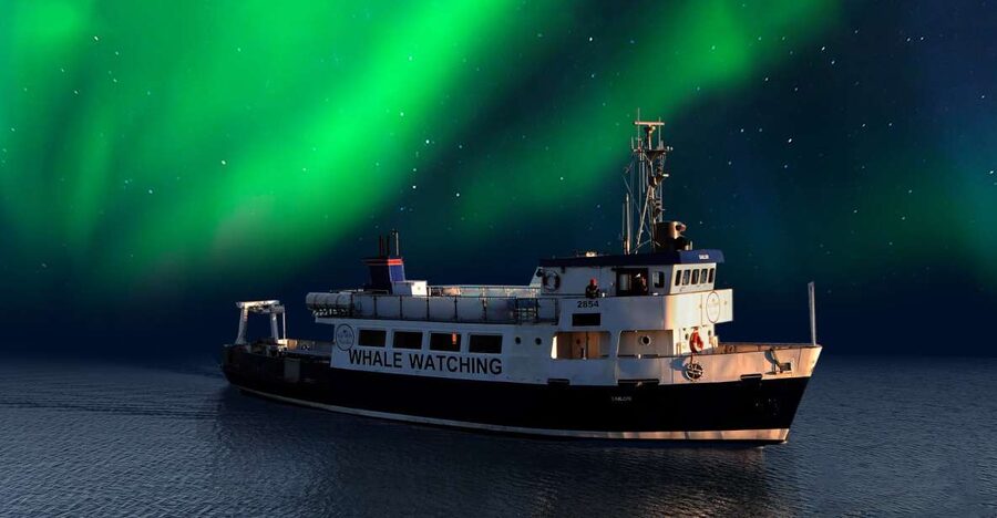 From Reykjavik: Northern Lights Sightseeing Cruise - Key things I’d look for on this Northern Lights cruise