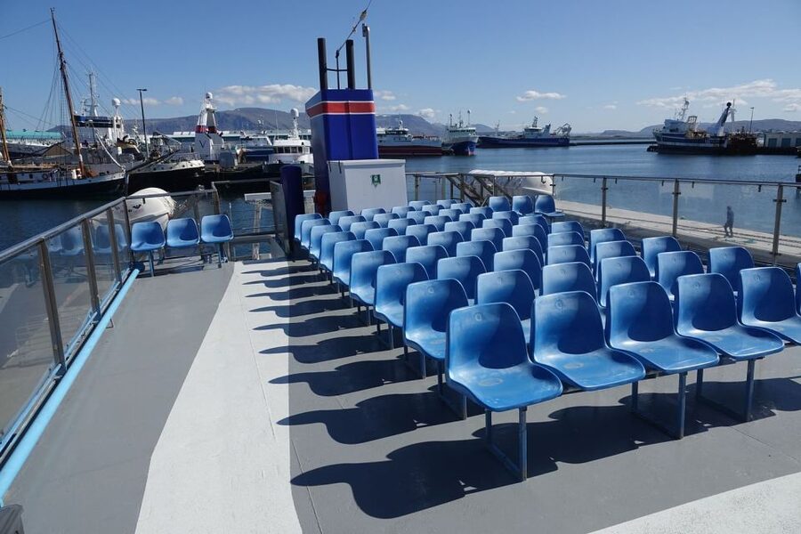 From Reykjavik: Northern Lights Sightseeing Cruise - Price and value: what you’re paying for at $88 per person