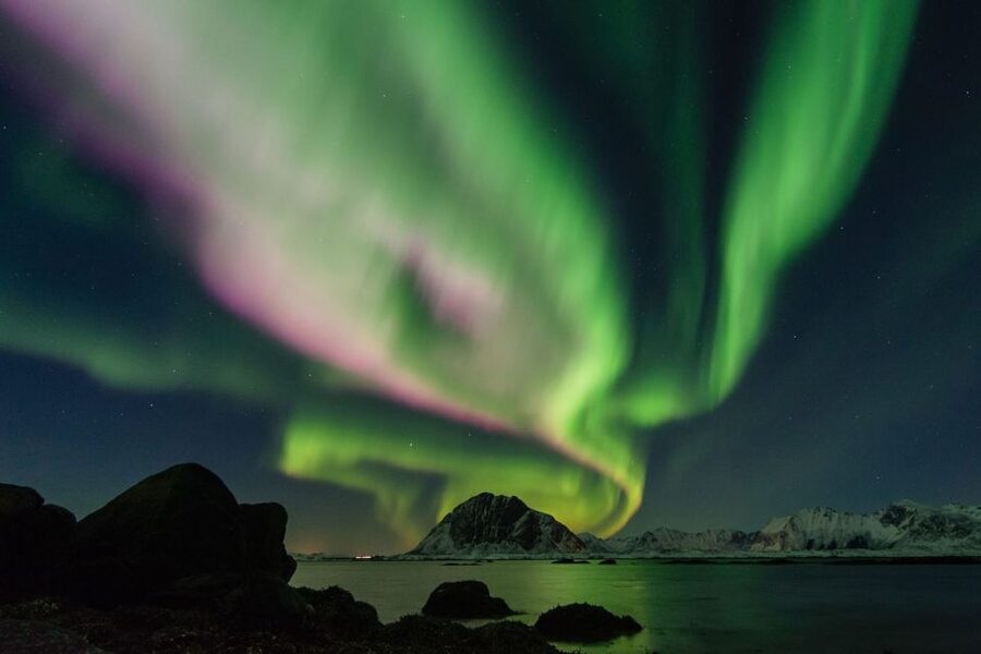 From Reykjavik: Northern Lights Sightseeing Cruise - Meeting point, check-in, and what to bring for a smooth night
