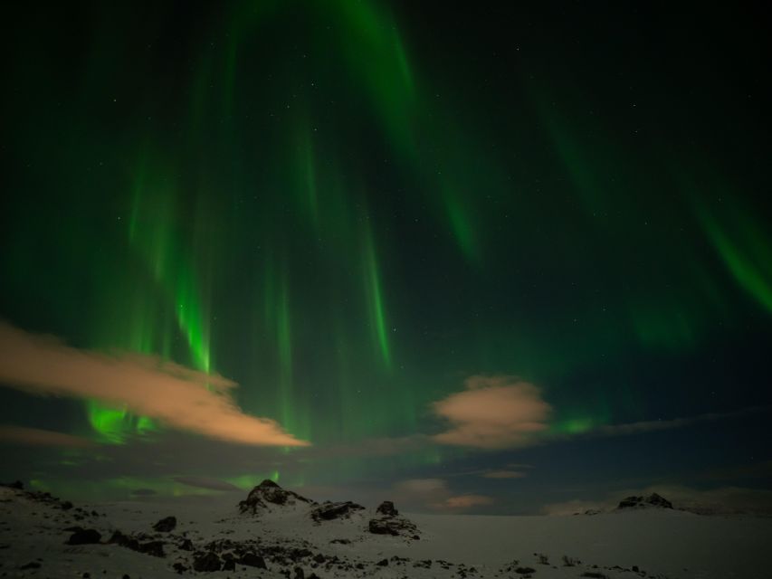 From Reykjavik: Northern Lights Tour with Hot Cocoa & Photos - Who this tour suits best, and who should skip