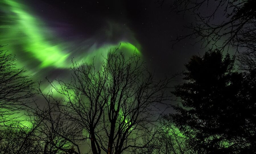 From Reykjavik: Northern Lights Tour with Lifetime Guarantee - The Bus Ride: Comfort, Charging, and the App That Keeps You Oriented