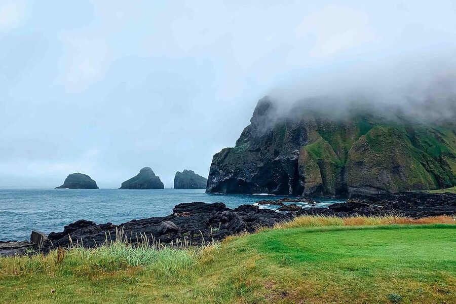 From Reykjavik: Puffin and Volcano Tour in Westman Islands - Price and value at $272: what’s included, and what you should plan to pay