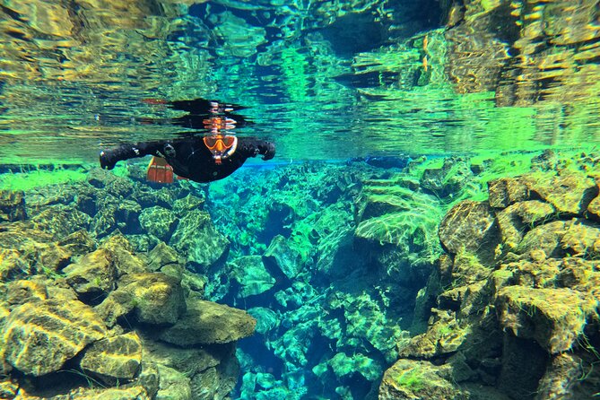 From Reykjavik- Silfra Snorkeling transfer included - Value and packing tips for a smooth day