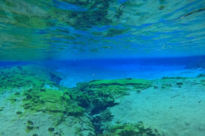 From Reykjavik- Silfra Snorkeling transfer included - Quick reality check on the day’s weather